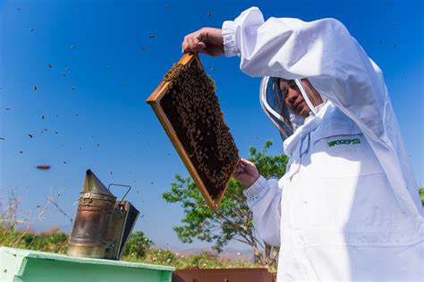 honey farms new mexico
